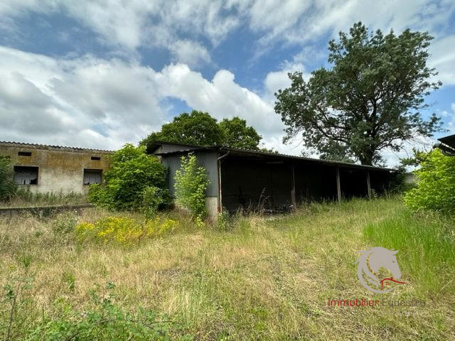 Ferme - 1 000 m² - 2 pièces