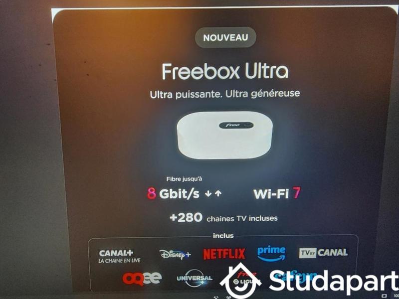 Chambre - 13 m² - 1 pièce