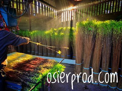 Visite d'une exploitation productrice d'osier &quot;la pèlerie&quot;