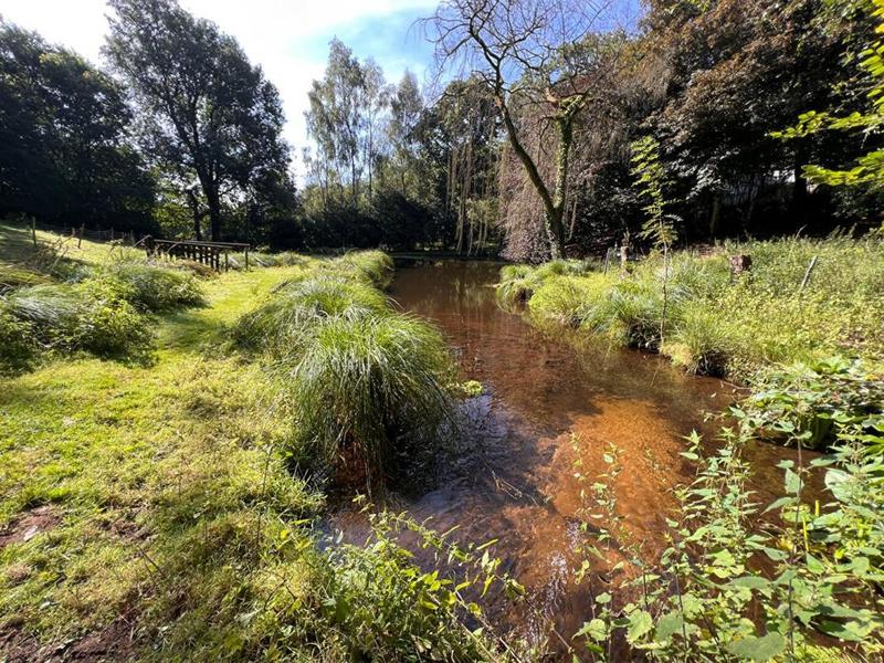 Propriété - 213 m² - 6 pièces