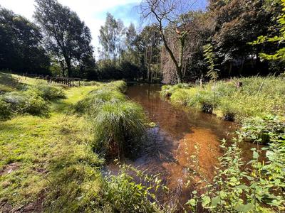 Propriété - 213 m² - 6 pièces