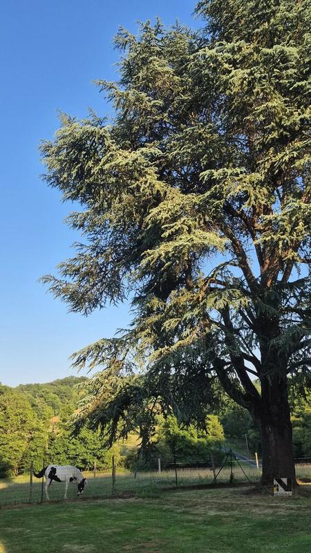 Maison en pierre - 120 m² - 6 pièces