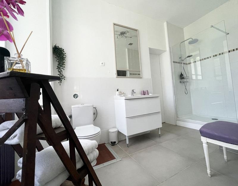 Château - 700 m² - 22 pièces