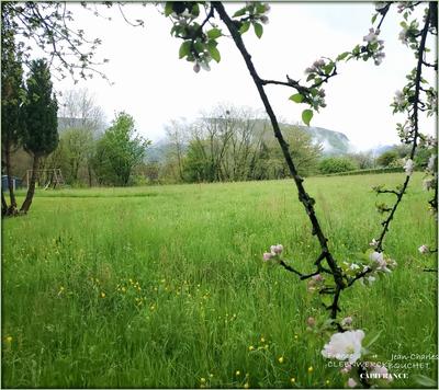 Terrain constructible - 3 048 m²