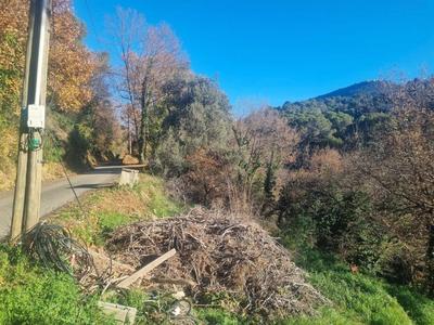 Terrain constructible - 2 920 m²