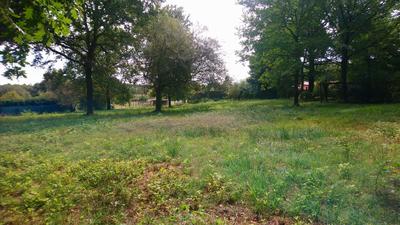 Terrain constructible - 1 954 m²