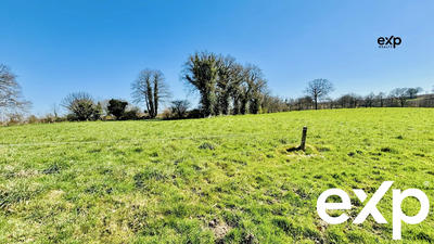 Terrain - 133 420 m²