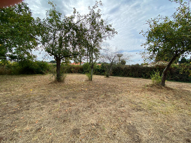 Terrain - 970 m²