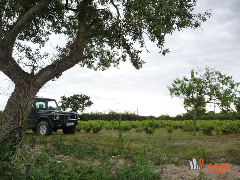 Maison - 335 m² - 12 pièces