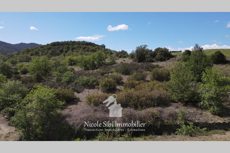 Terrain agricole - 3 205 m²