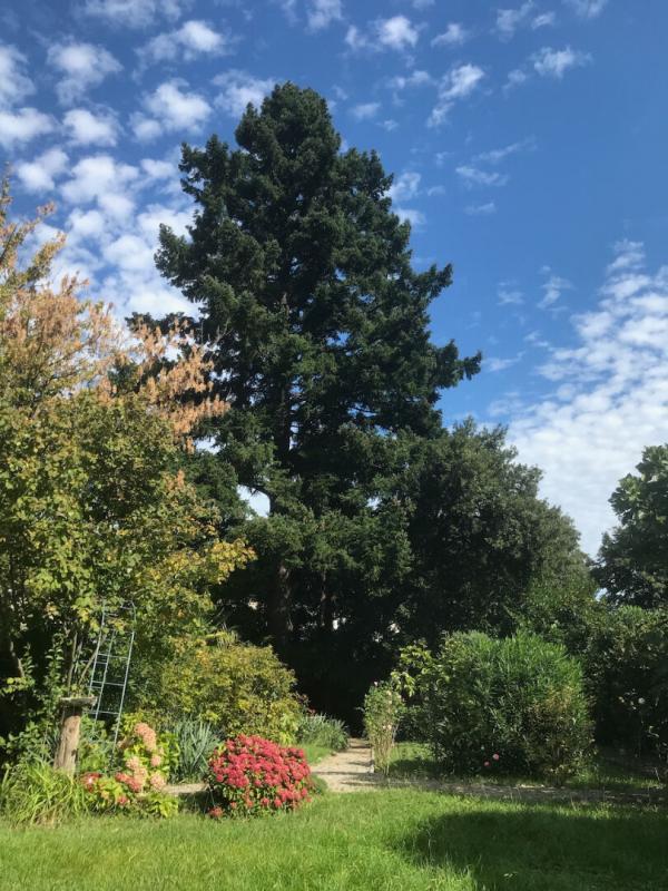 Demeure - 300 m² - 11 pièces