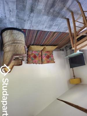 Appartement - 50 m² - 3 pièces