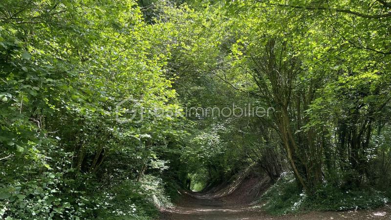 Terrain de loisirs - 1 900 m²