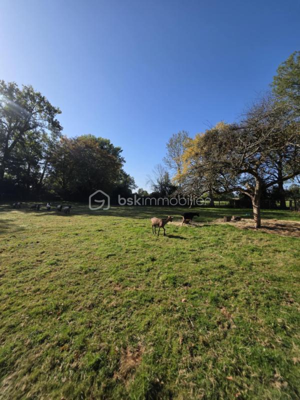 Maison - 91 m² - 4 pièces