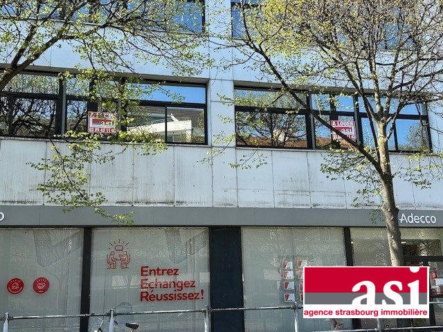 Local d'activités - 290 m² - 4 pièces