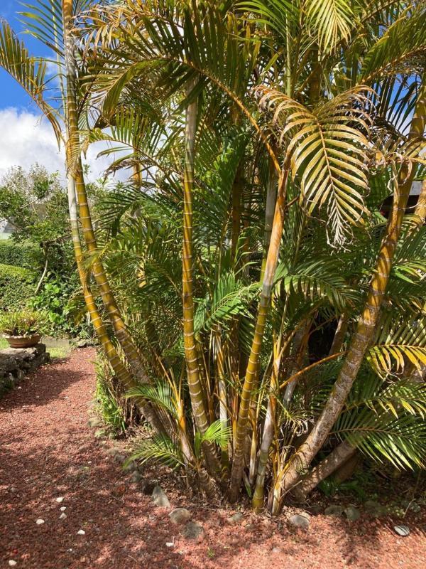 Maison - 180 m² - 6 pièces