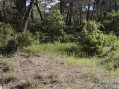 Terrain constructible - 514 m²