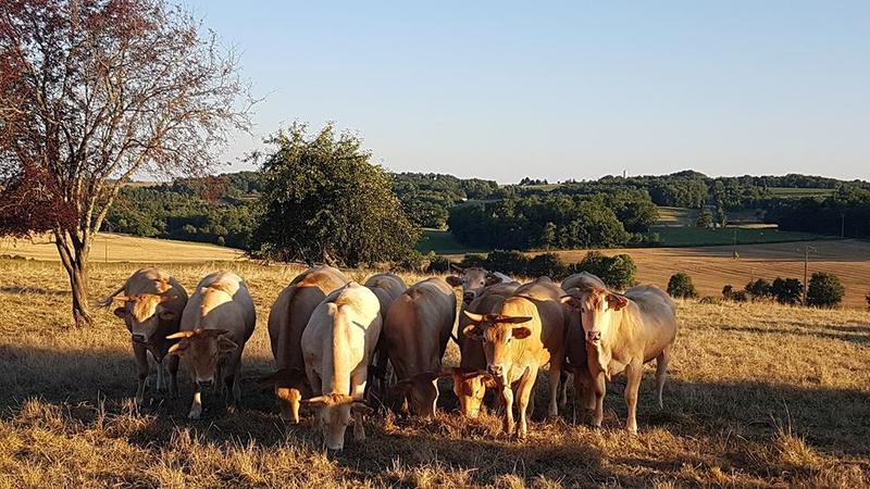 Fermes buissonnières au Domaine de Laplace