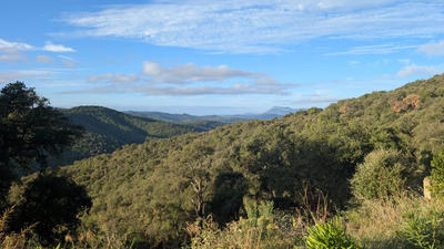 Maison - 360 m² - 9 pièces