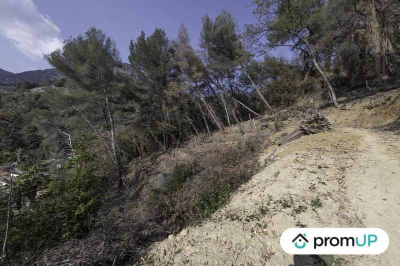 Terrain de loisirs - 2 048 m²