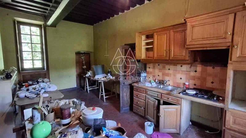 Château - 2 500 m² - 30 pièces