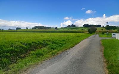 Terrain constructible - 11 000 m²