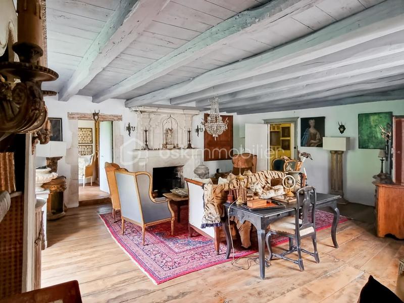 Maison en pierre - 560 m² - 11 pièces