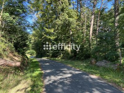 Terrain - 14 696 m²