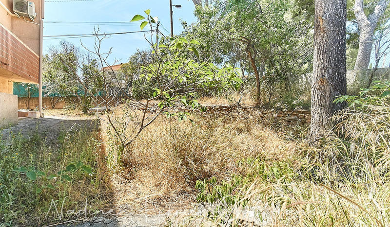 Appartement - 95 m² - 5 pièces