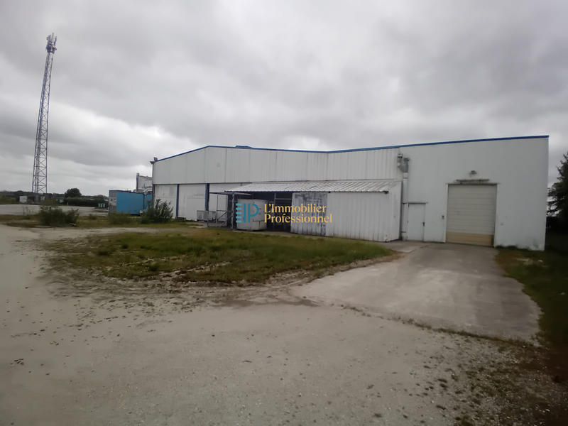 Local d'activités - 2 500 m²