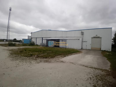 Local d'activités - 2 500 m²