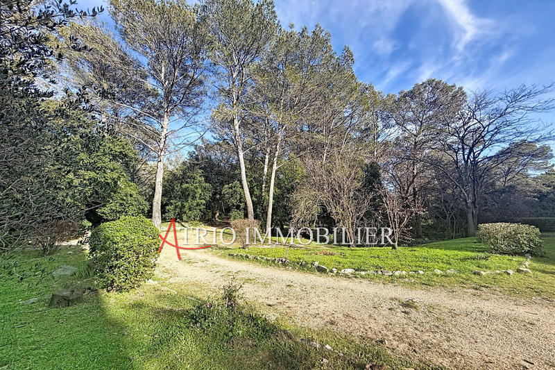 Appartement - 24 m² - 1 pièce