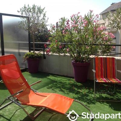 Chambre - 20 m² - 1 pièce