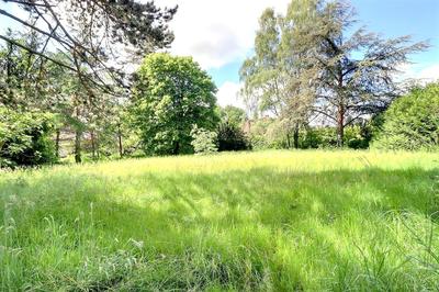 Terrain - 1 424 m²