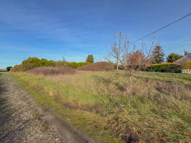 Terrain constructible - 1 290 m²