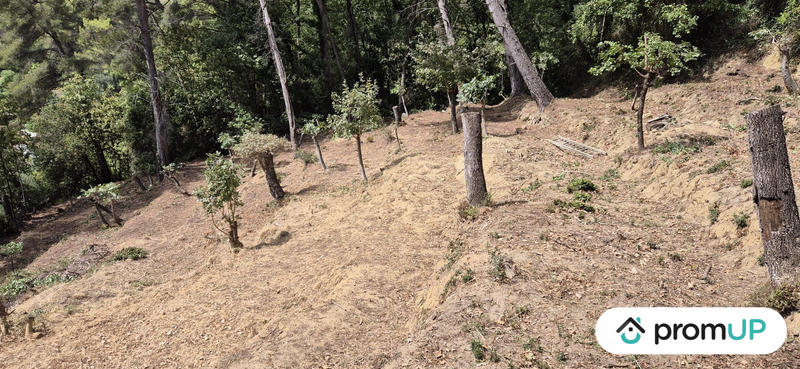 Terrain de loisirs - 2 048 m²