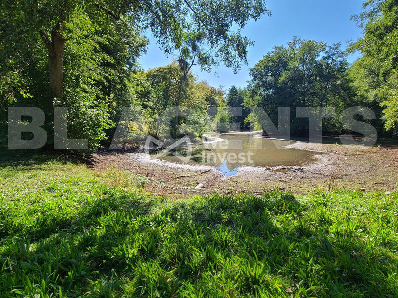 Château - 4 746 m² - 40 pièces