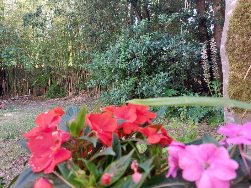 Maison - 198 m² - 6 pièces