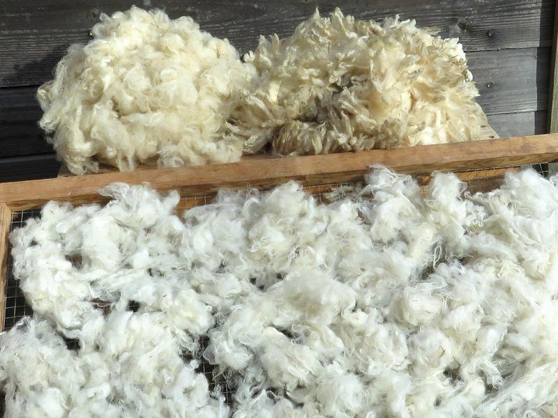 Stage de filage de laine  et stage de feutrage