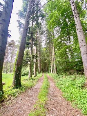 Demeure - 641 m² - 17 pièces