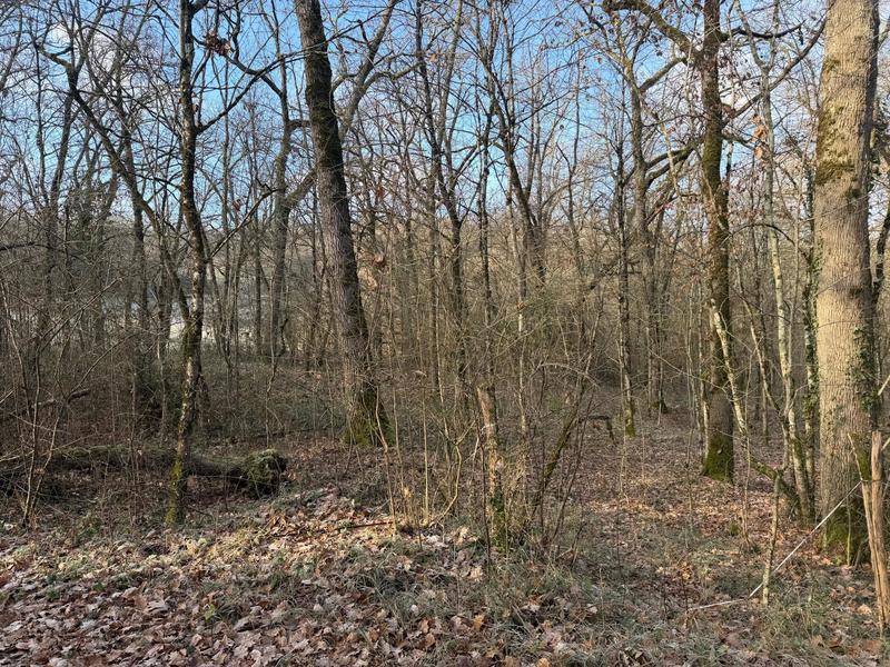 Terrain agricole - 5 633 m²