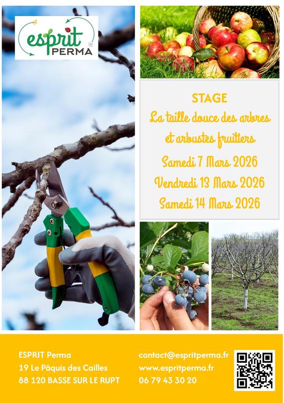 Stage d'éco-jardinage