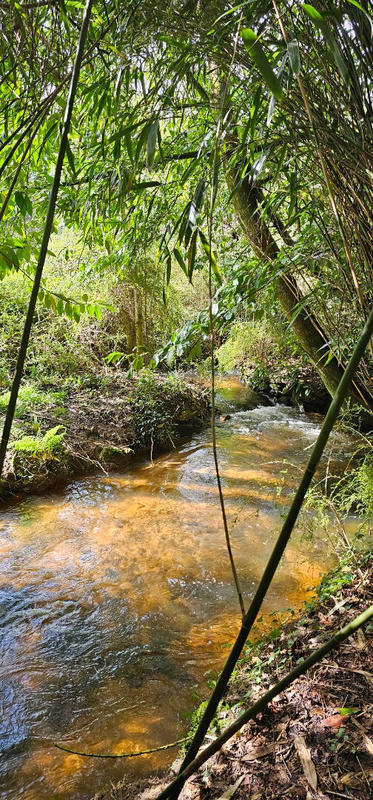 Maison - 168 m² - 8 pièces