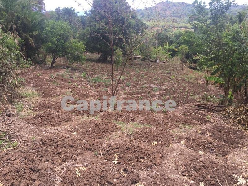 Terrain constructible - 5 468 m²