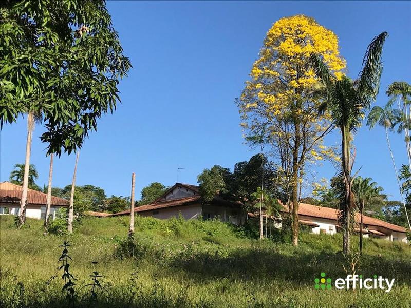 Immeuble - 1 429 m²