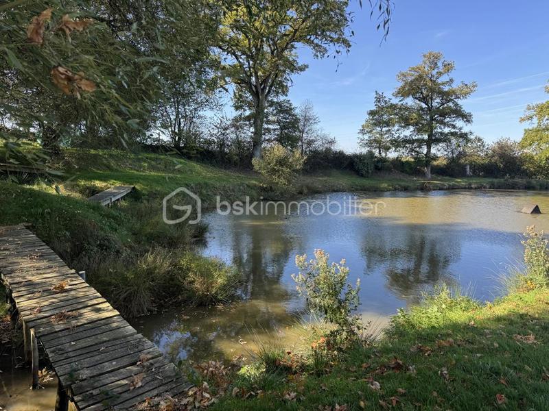 Terrain de loisirs - 7 023 m²