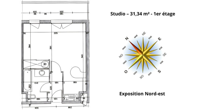 Appartement - 31 m² - 1 pièce