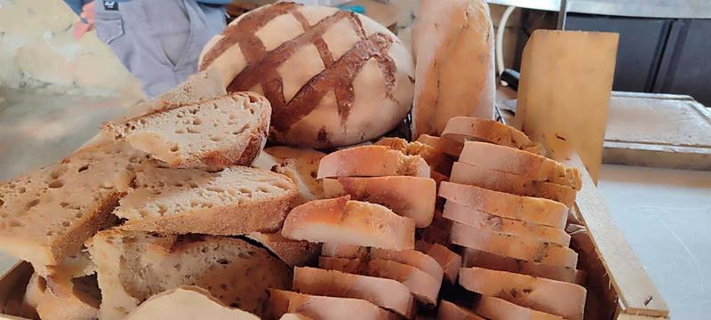Dans la peau d'un berger : Immersion à la ferme