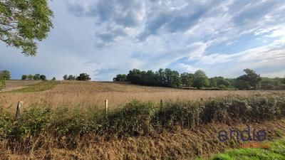 Maison ancienne - 100 m² - 1 pièce