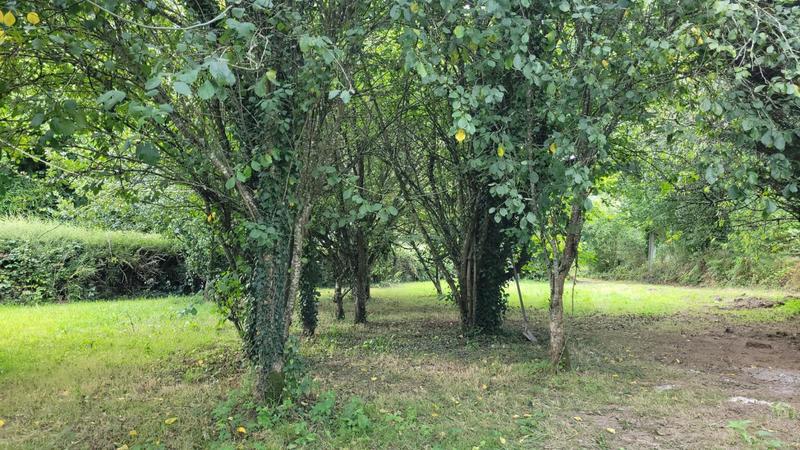 Maison en pierre - 124 m² - 6 pièces